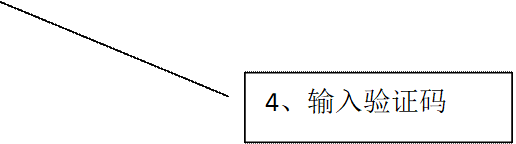 4、输入验证码